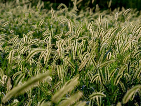 1634305260547309.jpg a403fbbd0f1f544d611850ed30b7bfa0_bce663cbc96f1752cf1c7ba375290b2e.jpg