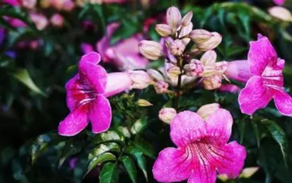 1634348698140809.jpg image.jpg