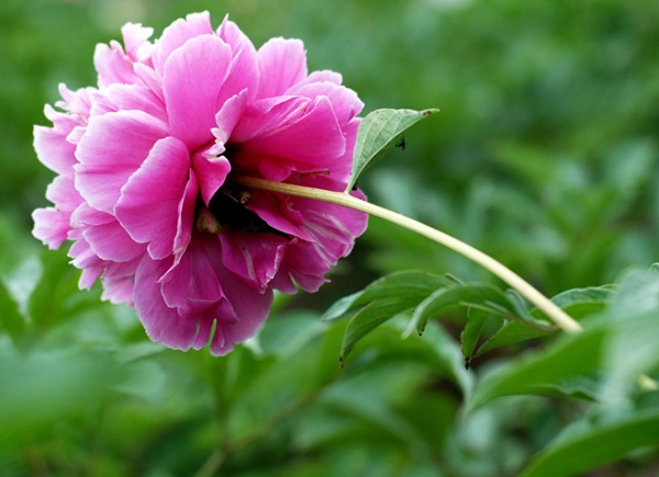 1634356767443509.jpg image.jpg