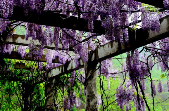 1634360040112609.jpg image.jpg