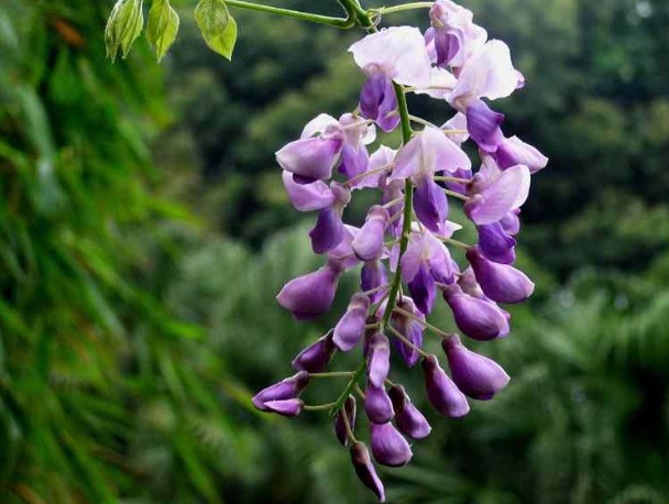 1634360441216871.jpg image.jpg