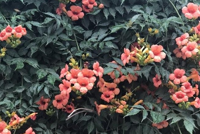 1634463820858908.jpg 圖片.jpg