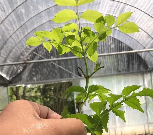 1634463840213034.jpg 圖片.jpg