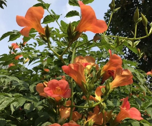 1634464945177070.jpg 圖片.jpg