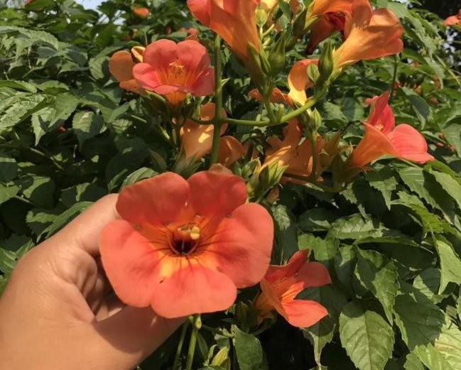 1634464966851200.jpg 圖片.jpg