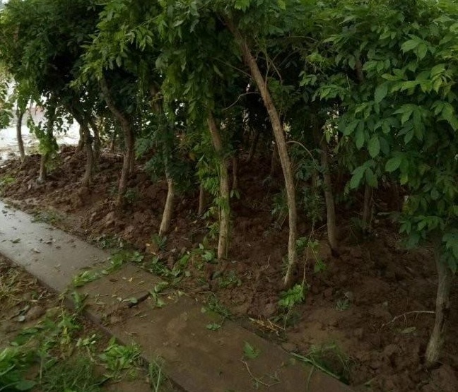 1634464988368607.jpg 圖片.jpg