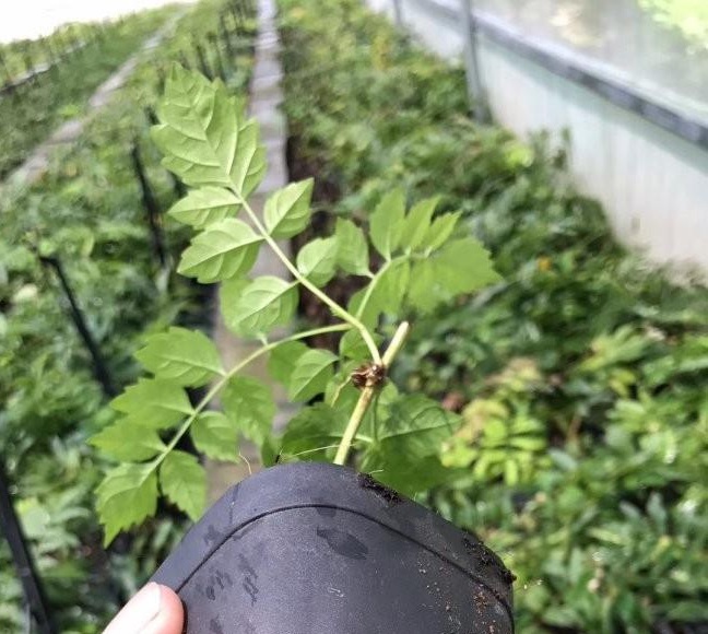 1634466069333078.jpg 圖片.jpg