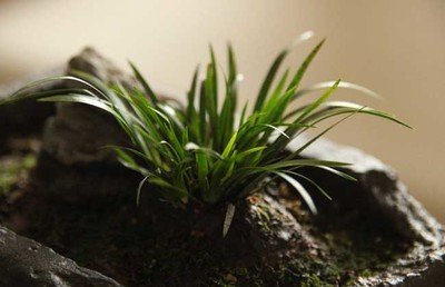 1634637691775539.jpg 1634637691775539.jpg