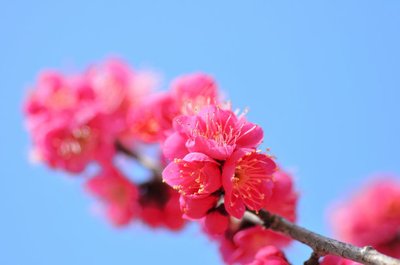 1634638842770515.jpg 1634638842770515.jpg