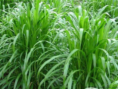 1634639199395171.jpg 1634639199395171.jpg