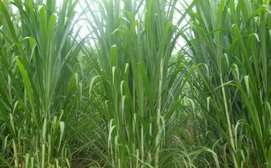 1634639239635208.jpg 1634639239635208.jpg