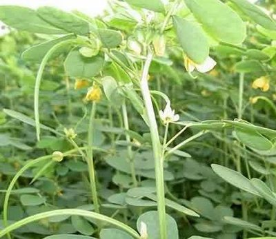 1634640065695859.jpg 1634640065695859.jpg