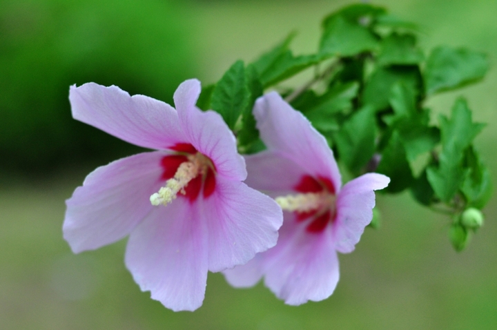 1634640438578159.jpg 1634640438578159.jpg