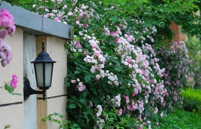 1634641094455218.jpg 1634641094455218.jpg