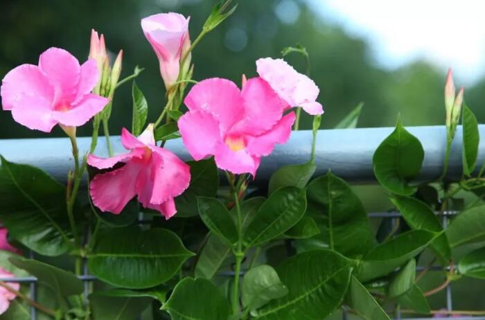 1634716240319129.jpg 1634716240319129.jpg