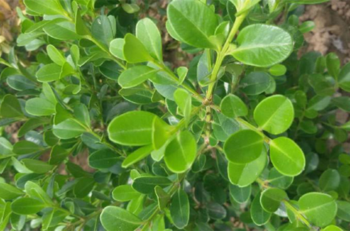 1634727596949250.jpg 1634727596949250.jpg