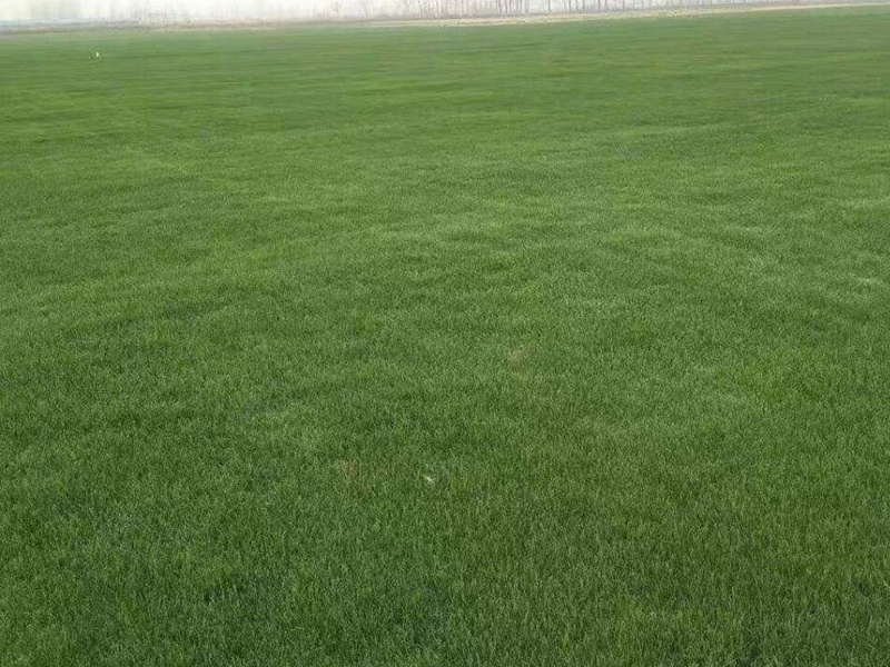 1634745178798869.jpg e9ec57c1d5b0e5c4ecfd1de50bbf6cfa_1591075612513958.jpg