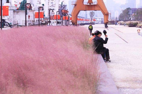 1634748946727027.jpg 4df5158d68dba2b90bb4a01ff69ae707_1573886393892918.jpg