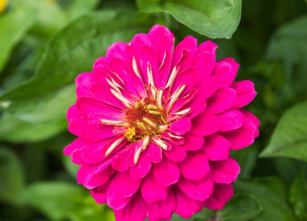 1634777422699503.jpg image.jpg