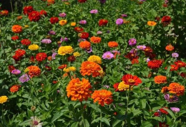 1634781974934429.jpg image.jpg