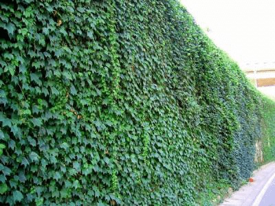 1634987831489172.jpg 1634987831489172.jpg