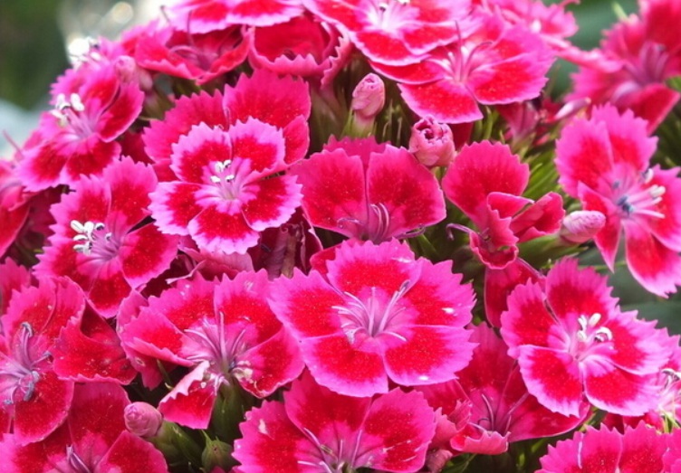 1635259078257979.jpg 1635259078257979.jpg