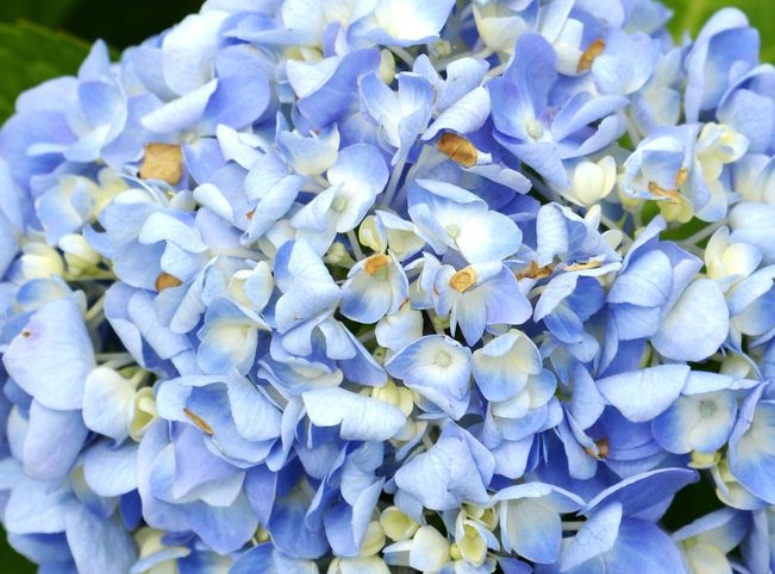 1635344790308542.jpg 1635344790308542.jpg