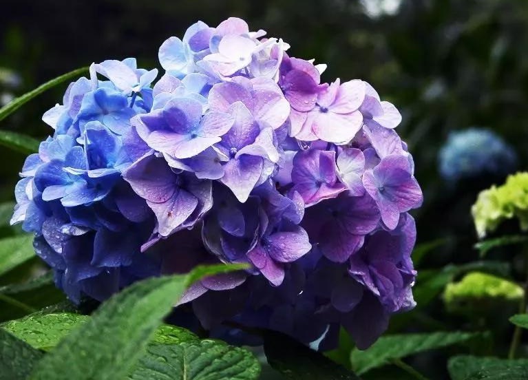 1635344808222739.jpg 1635344808222739.jpg