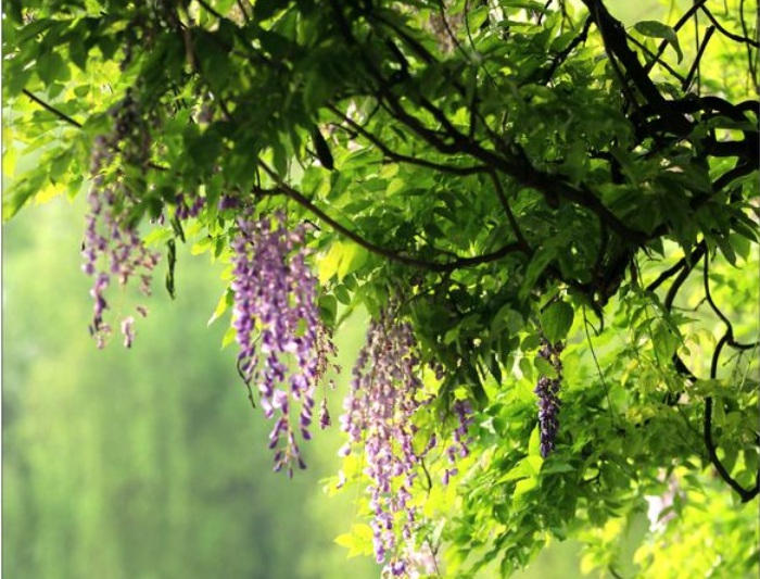 1635608447602790.jpg 1635608447602790.jpg