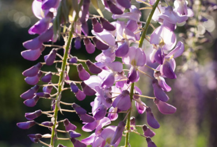 1635608474504165.jpg 1635608474504165.jpg