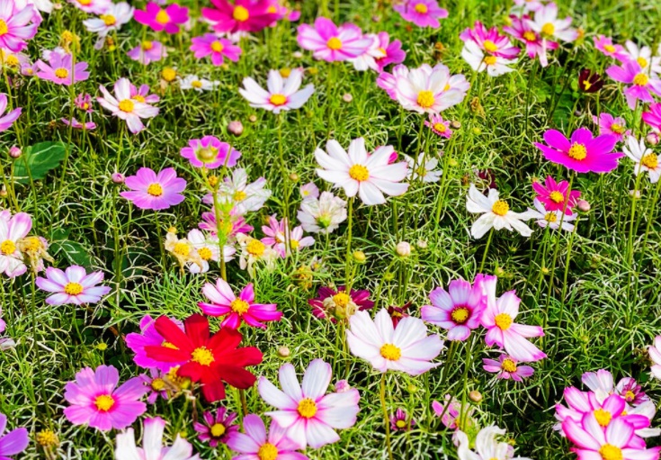 1635608895773840.jpg 1635608895773840.jpg