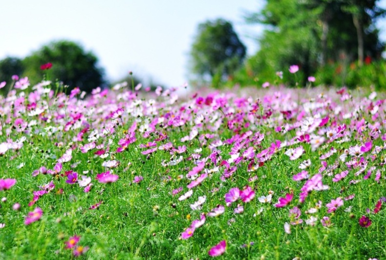 1635608929377792.jpg 1635608929377792.jpg