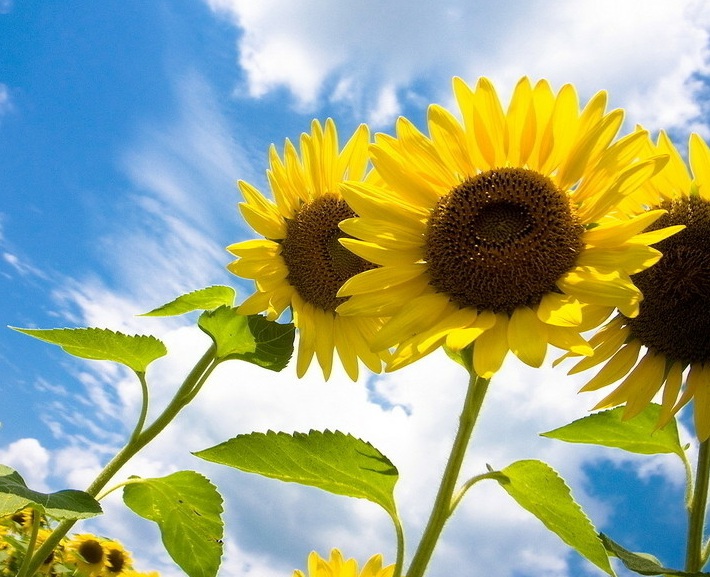 1635741296464912.jpg 1635741296464912.jpg