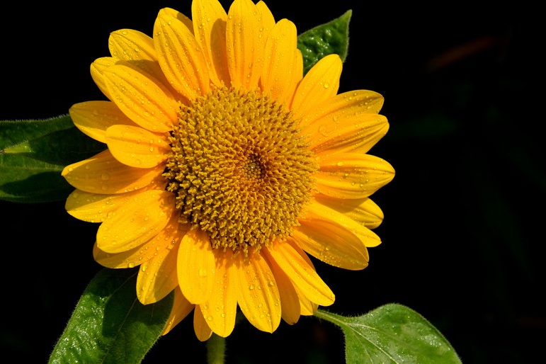 1635741308776730.jpg 1635741308776730.jpg