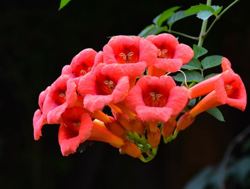 1635826729588400.jpg image.jpg