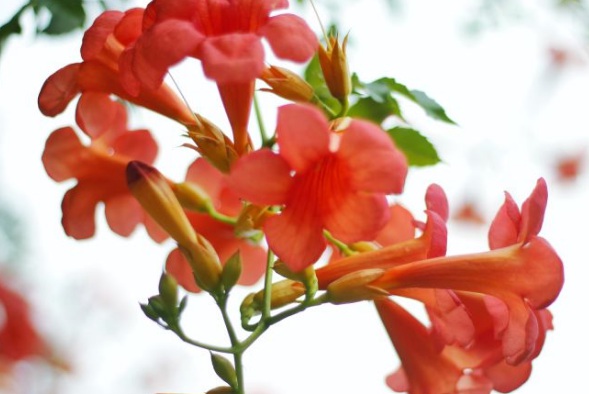 1635827030874038.jpg image.jpg