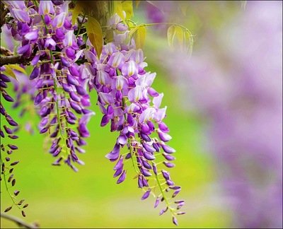 1635854574945867.jpg 1635854574945867.jpg