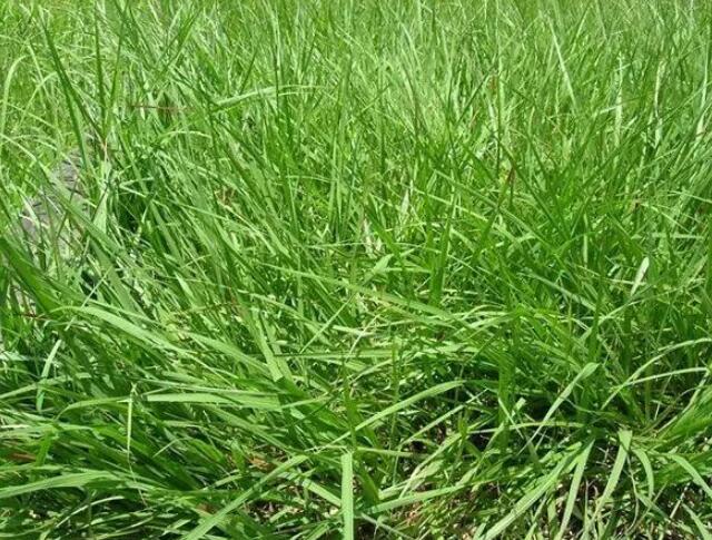 1635908052434970.jpg 1635908052434970.jpg