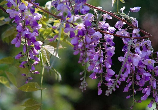 1635910700232098.jpg image.jpg