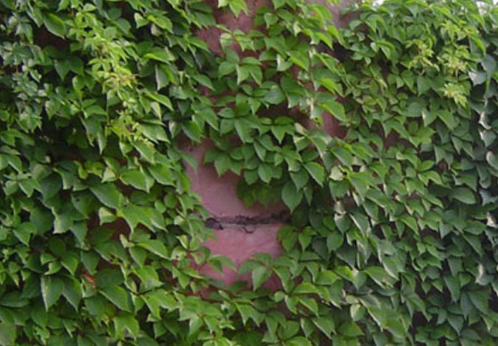 1635911447938327.jpg 1635911447938327.jpg