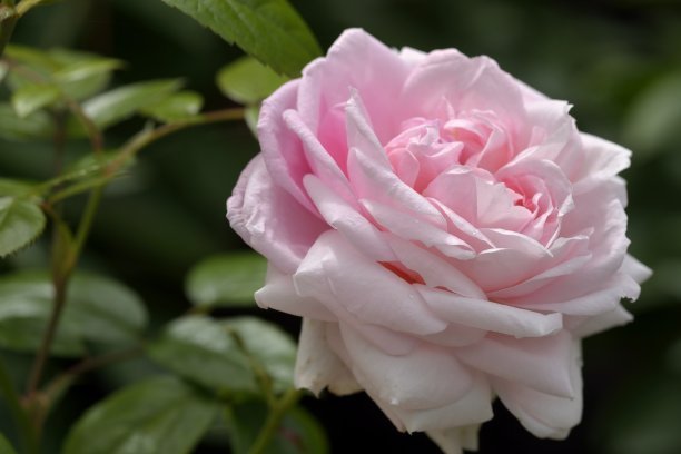 1635939108366955.jpg 1635939108366955.jpg