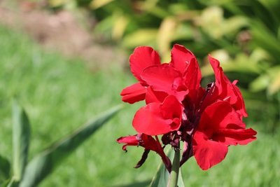 1635939882285179.jpg 1635939882285179.jpg