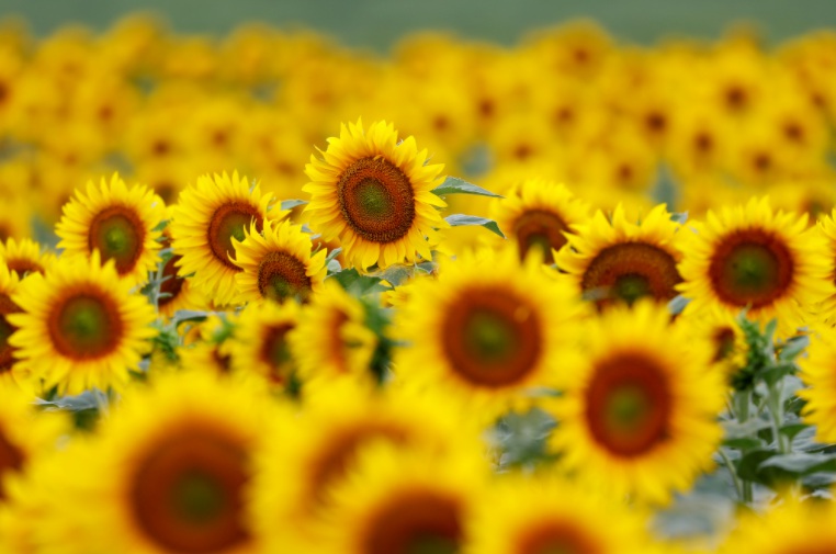 1636095864922463.jpg 2.jpg