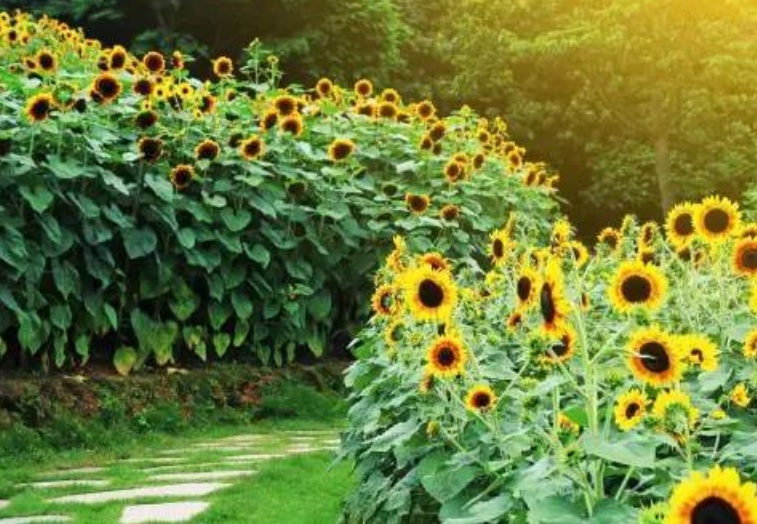 1636095899648603.jpg 3.jpg