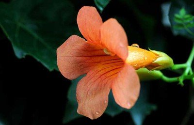 1636110327564689.jpg 1636110327564689.jpg