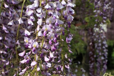 1636111848890383.jpg 1636111848890383.jpg