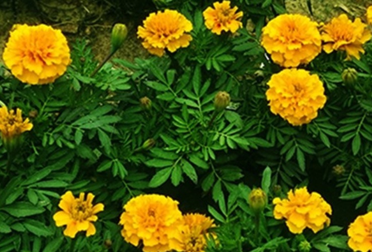 1636119392768964.jpg 1636119392768964.jpg