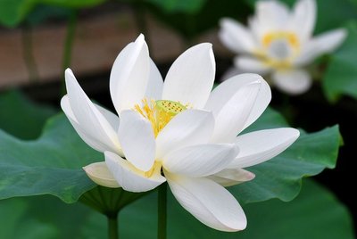 1636281610388184.jpg 1636281610388184.jpg