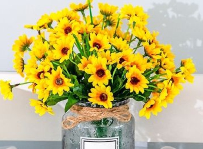 1636295570750138.jpg 2.jpg