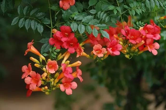 1636369088641734.jpg 1636369088641734.jpg